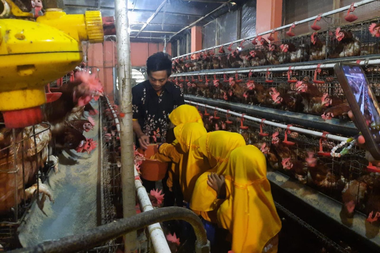 Kunjungan Implementasi TK Diponegoro 52 dan PAUD KB Ndasari Budi di Experimental Farm Fakultas Peternakan Unsoed
