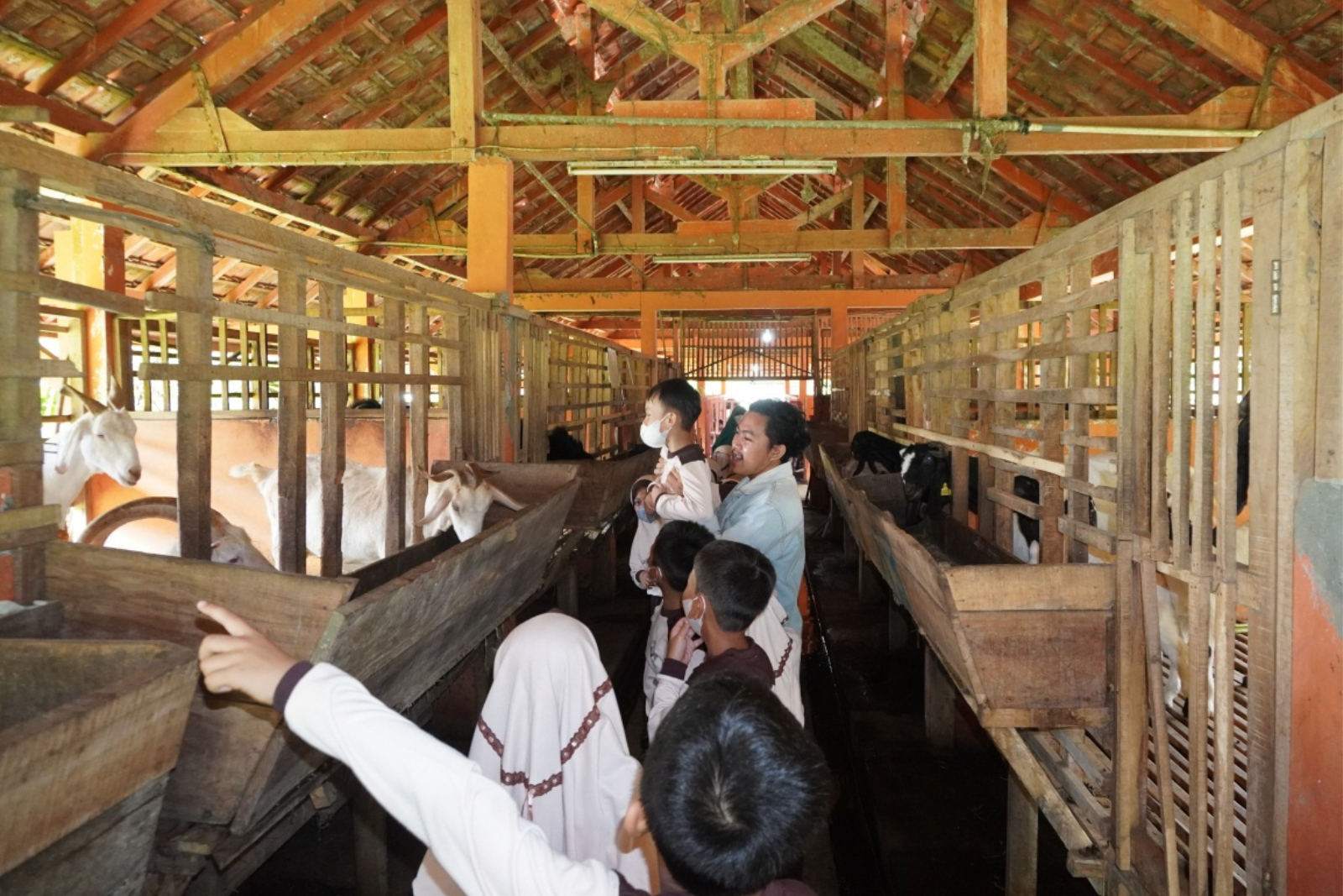 Antusias, Siswa SD Islam Terpadu Harapan Bunda Kunjungi Experimental Farm Fapet Unsoed