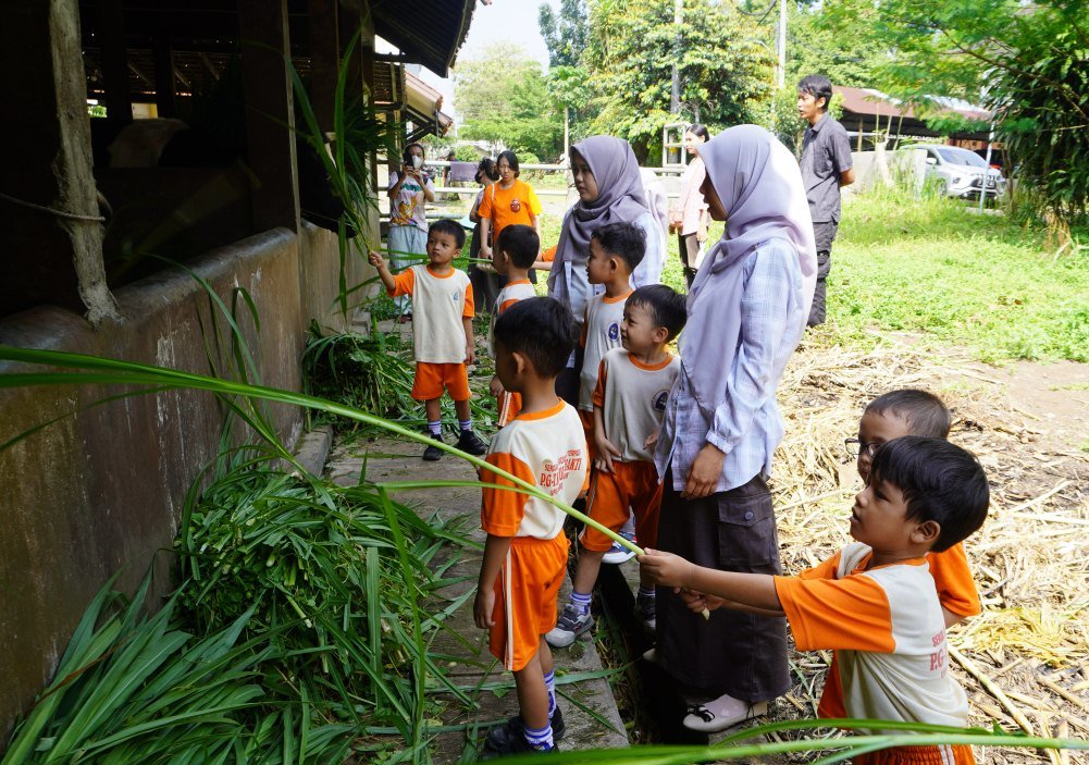Teaching Farm&exfarm Fapet Unsoed, Kembali Menjadi Tempat Belajar Siswa TK Mulia Bakti