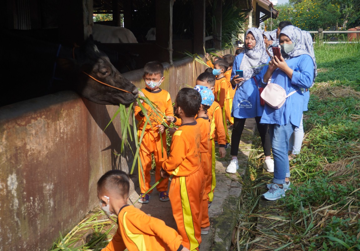 Teaching Farm Fapet Unsoed Terima Kunjungan Dari Tiga Rombongan Sekolah Berbeda