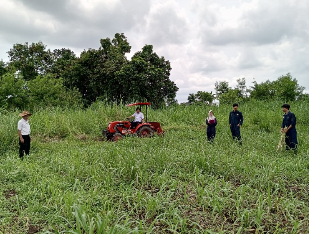 Revitalisasi Sarana Kampus Perbaikan Lahan Tanaman Pakan di Experimental Farm Fapet Unsoed masif dilakukan